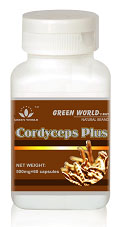 Cordyceps-Plus-Capsule